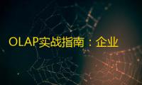 OLAP实战指南：企业级在线分析处理技术的深度解析与价值实现